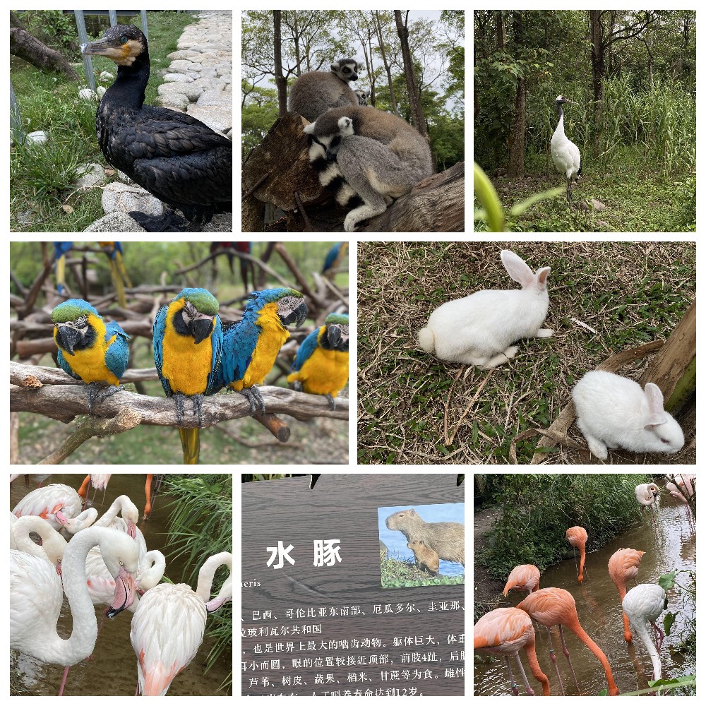 厚積薄發(fā)，蓄力前行：大手牽小手，共圓實佳夢